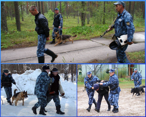 Конвоирование в пешем порядке